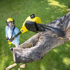 Best Lawn Maintenance Plans  in Indialantic, FL